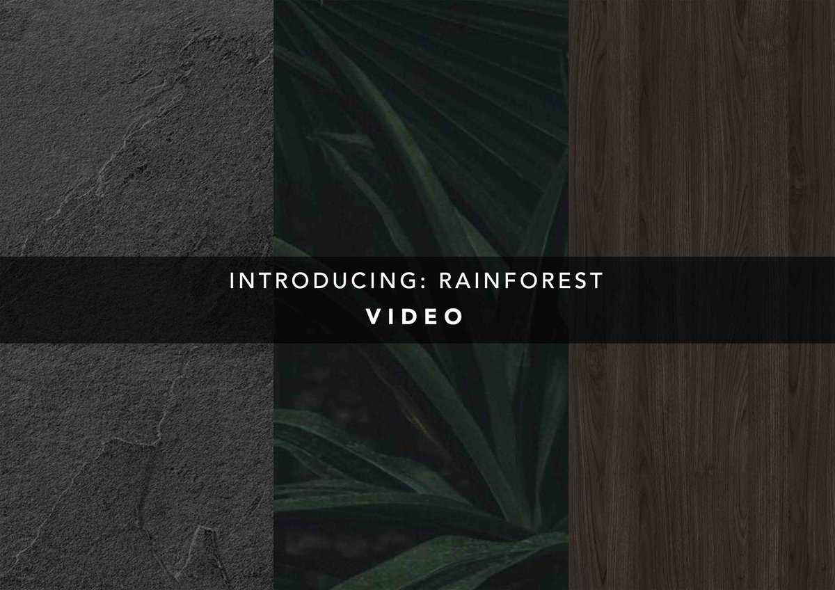Introducing: RAINFOREST